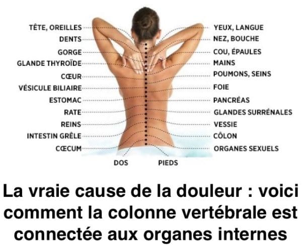 Osteopathe